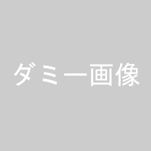 販売商品画像1